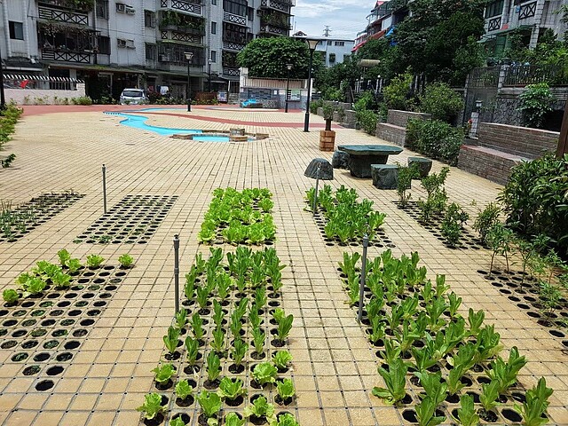 明興里雨水花園。圖/北市環保局提供